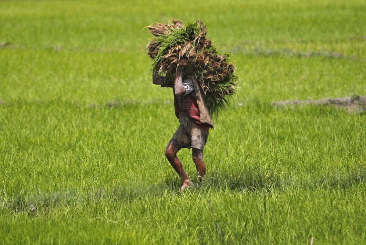 Andhra Pradesh agriculture project wins international information prize